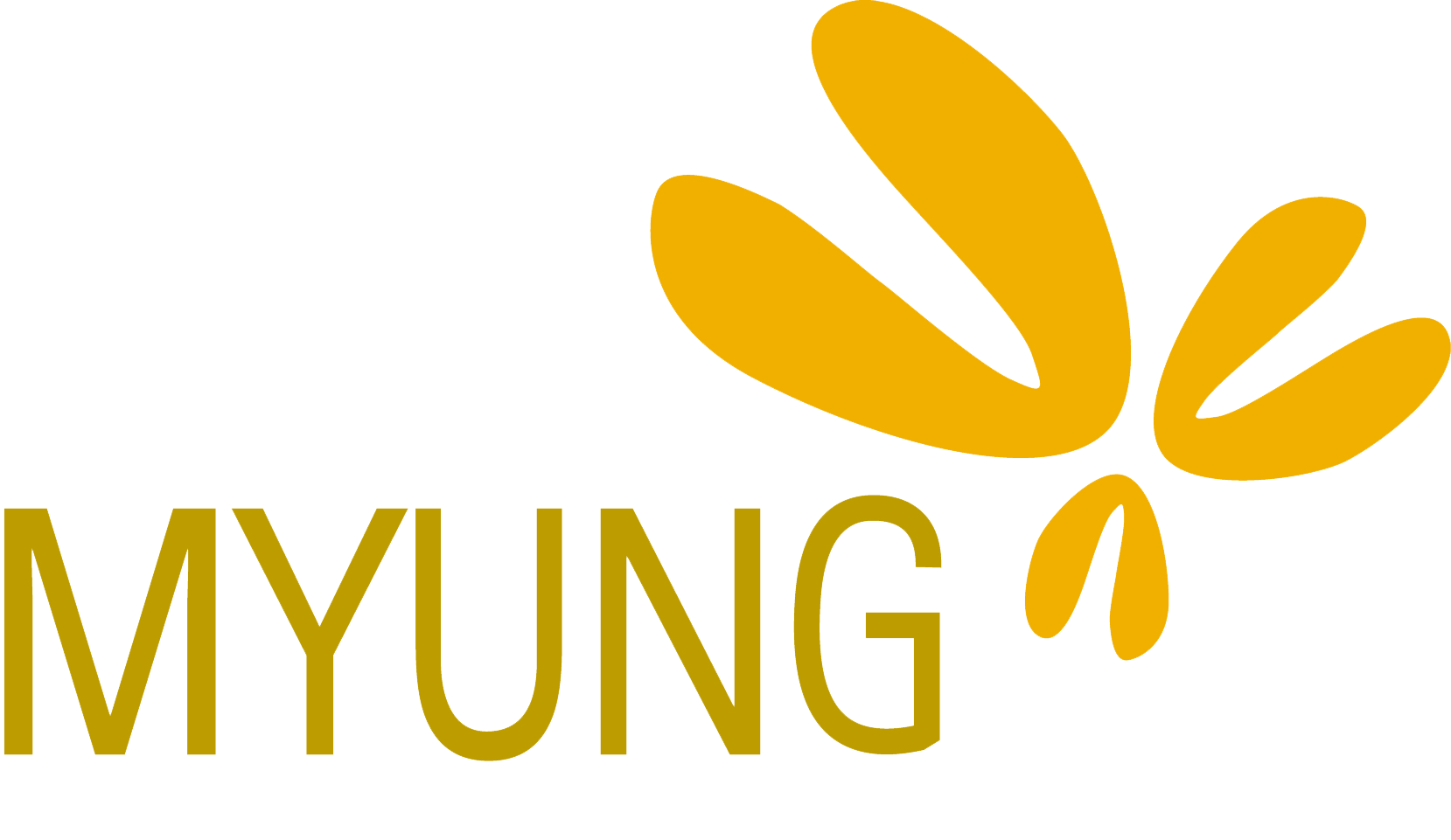 myung logo.gif